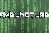 err_name_not_resolved